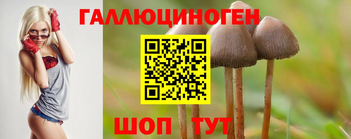 Псилоцибиновые грибы MAGIC MUSHROOMS  Псилоцибиновые грибы MAGIC MUSHROOMS  Лосино-Петровский  Вход с VPN 